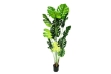 Picture of ARTIFCIAL Plant  35"/55"/71" Monstera Delicosa - 55"