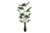 Picture of Artificial Plant Fan Palm 210cm