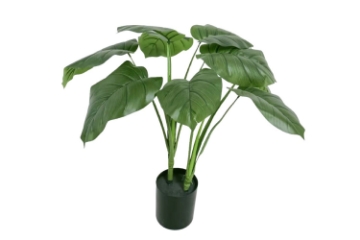 Picture of ARTIFICIAL PLANT Taro ( 266--302)--60cm