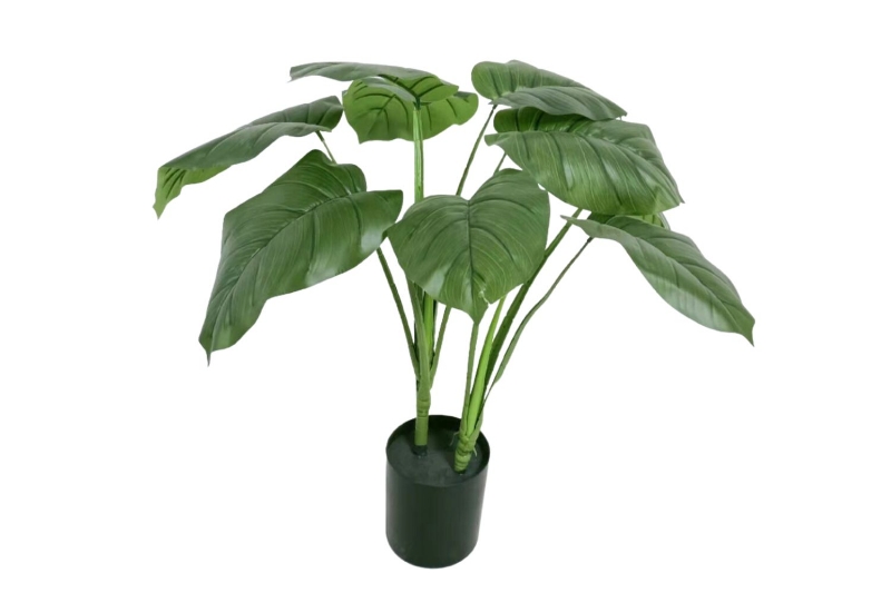 Picture of ARTIFICIAL PLANT Taro ( 266-302)-60cm