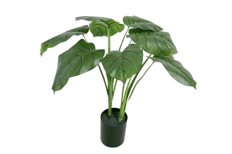 Picture of ARTIFICIAL PLANT Taro ( 266-302)-H23.5"