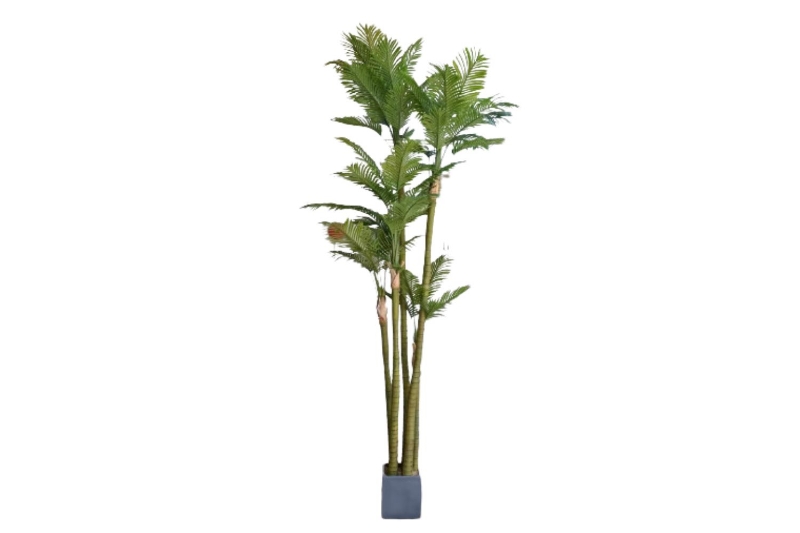 Picture of ARTIFICIAL PLANT Palm (360cm)