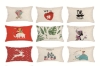 Picture of LUMBAR Throw Pillow Cushion with Inner Assorted 30x50cm