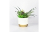 Picture of ARTIFICIAL PLANT 280 with Vase (5.5" x 14")
