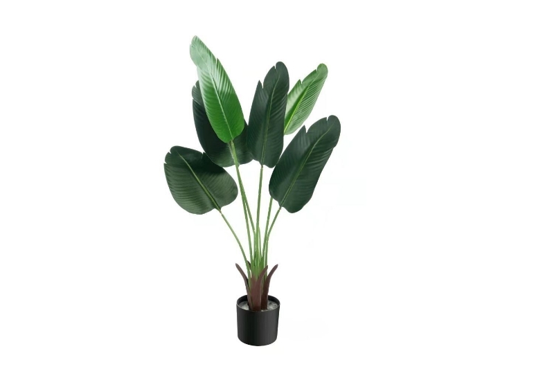 Picture of ARTIFICIAL PLANT 47"/71" Banana Leaf with Black Plastic Pot