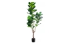 Picture of ARTIFICIAL PLANT 266-304 Thick Branch Fiddle Leaf (180cm)