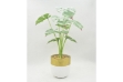 Picture of ARTIFICIAL PLANT 282 with Vase (14.5cm x 50cm)