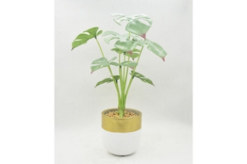 Picture of ARTIFICIAL PLANT 282 with Vase (14.5cm x 50cm)