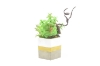 Picture of ARTIFICIAL PLANT 283 with Vase (18cm x 24cm)