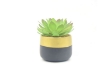 Picture of ARTIFICIAL PLANT 285 with Vase (12cm x 19cm)