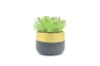 Picture of ARTIFICIAL PLANT 285 with Vase (4.5"x7.5")
