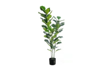 Picture of ARTIFICIAL PLANT Thick Branch Fiddle Leaf (120/150cm)