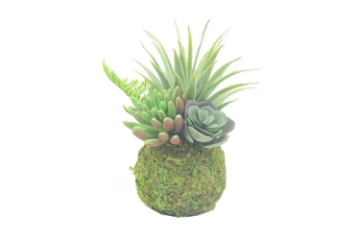 Picture of ARTIFICIAL PLANT 293 with Vase (8cm x 18cm)