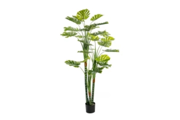 Picture of ARTIFICIAL PLANT Monstera Deliciosa 170cm