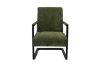 Picture of PARAMOUNT Corduroy Fabric Arm Chair (Green)