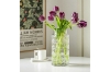 Picture of ERLENMEYER Transparent Glass Vase  - Short