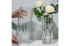 Picture of GLACIER-SHAPED Glass Vase (Transparent) - Tall
