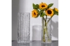 Picture of GLACIER-SHAPED Glass Vase (Transparent) - Tall