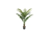 Picture of PALM TREE 43"/55"/67" Tall Artificial Plant with Pot 