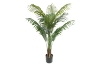 Picture of PALM TREE Artificial Plant with Pot  - 67" Tall 