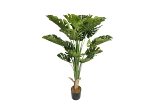 Picture of MONSTERA DELICOSA Artificial Plant with Pot - 59" Tall 