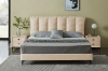 Picture of ALANYA Bed Frame in Queen Size (Champagne)