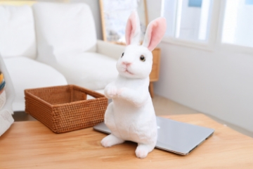 Picture of EASTER Bunny Plush Cushion (Multiple Colors)