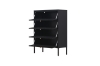 Picture of STARK Steel Frame 4-Door Transparent Glass Shoe Cabinet (Black)