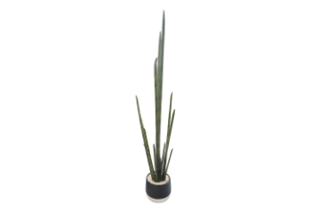 Picture of ARTIFICIAL Sansevieria Potted Plant (48" Tall)