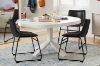 Picture of KRISTA Dining Chair (Black)