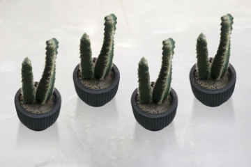 Picture of ARTIFICIAL Duo Cereus Acanthocereus Cactus Potted Plant (3"x7")