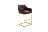 Picture of HESPER 29" Bar Height Bar Stool with Arms & Golden Finish Base (Wine Red) 