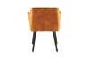 Picture of TAMPA Arm Dining Chair (Caramel) 