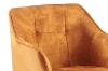 Picture of TAMPA Arm Dining Chair (Caramel) 