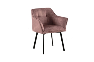 Picture of TAMPA Arm Dining Chair (Taupe) - Each