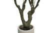 Picture of Artificial Potted Olive Plant (H90.5")