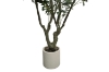 Picture of Artificial Potted Olive Plant (H90.5")