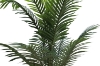 Picture of Artificial Potted Areca Palm Plant (H47"/H71")
