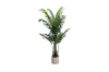 Picture of Artificial Potted Areca Palm Plant (H47"/H71")