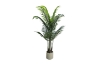Picture of Artificial Potted Areca Palm Plant (H47"/H71")