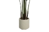 Picture of Artificial Potted Areca Palm Plant (H47"/H71")