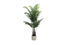 Picture of Artificial Potted Areca Palm Plant - H47"