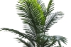 Picture of Artificial Potted Areca Palm Plant - H59" 