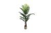 Picture of Artificial Potted Areca Palm Plant - H59" 