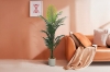 Picture of Artificial Potted Areca Palm Plant - H71" 