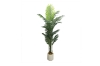 Picture of Artificial Potted Areca Palm Plant - H71" 