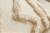 Picture of 375-004 Decorative Accent Tassel Cushion with Inner (17.5"x17.5") 