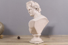 Picture of 374-001 Classic Greek Bust Sculpture Ornaments Character Figure Resin Sculpture (7"x12.5")
