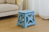 Picture of JADEN H13.5" Foldable Step Stool