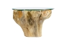 Picture of Takara D27.5" Tempered Glass Top Handcrafted Teak Root Coffee Table